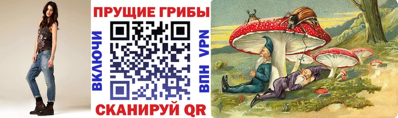 Купить где  Кизляр  Галлюциногенные грибы Cubensis 